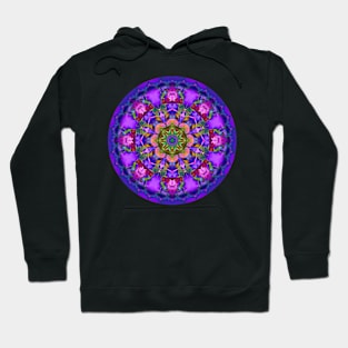 Mandala Magic - Daily Focus 2.8.2024 B Hoodie